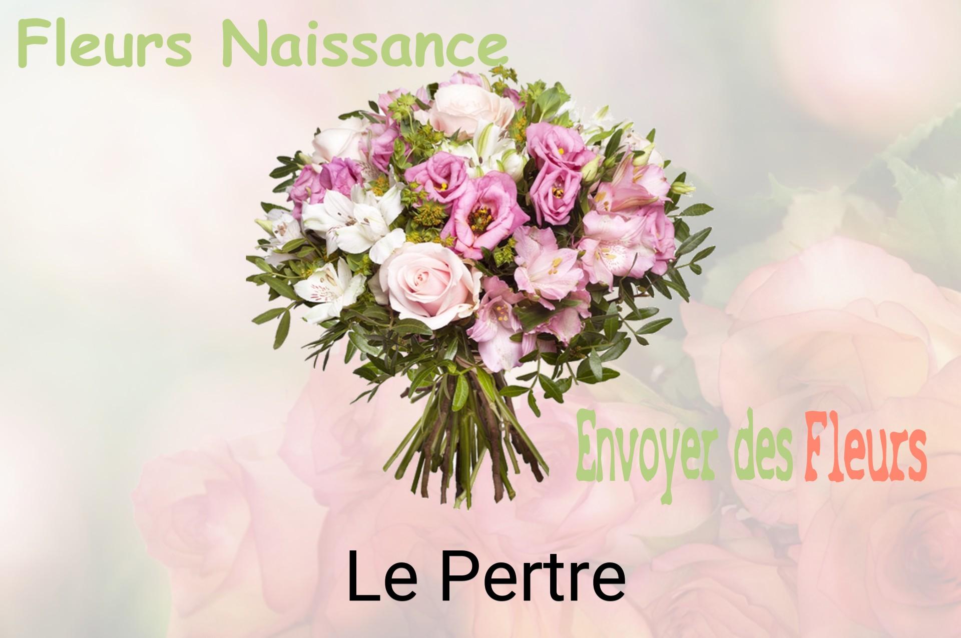 Bouquet de fleurs de naissance livré à Le Pertre
